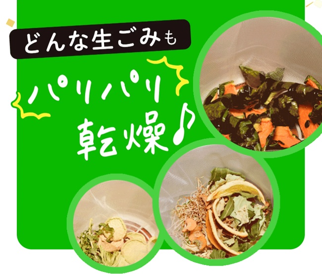パリパリキュー