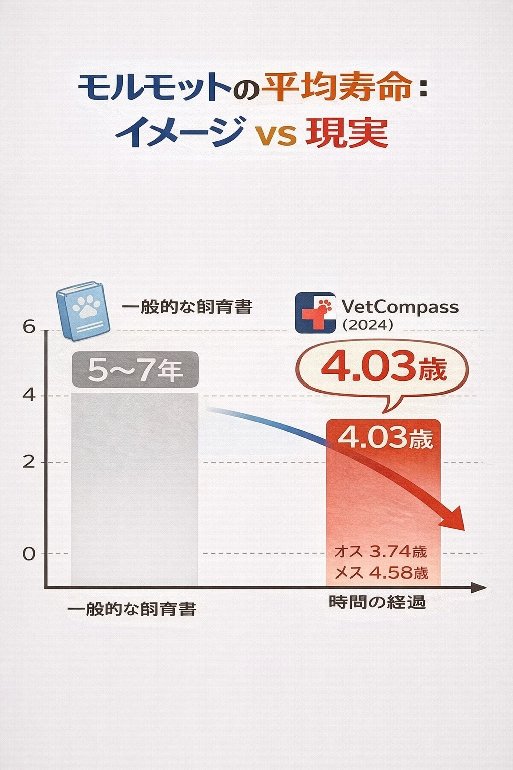 モルモットの平均寿命比較グラフ。一般的な認識は5〜7年だが、最新の獣医学データでは平均4.03歳となっている。