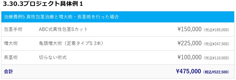 3.30.3プロジェクト