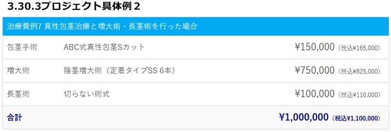 3.30.3プロジェクト