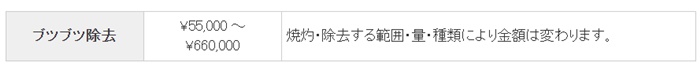 上野クリニックの治療費