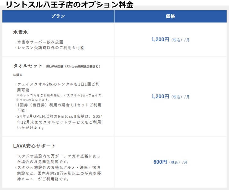 リントスルの料金