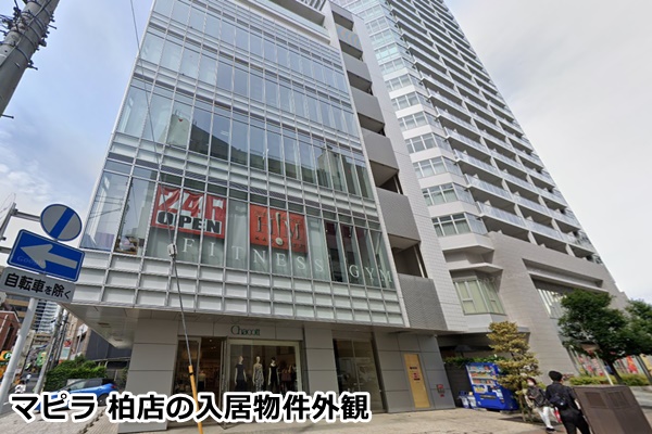 マピラ柏店